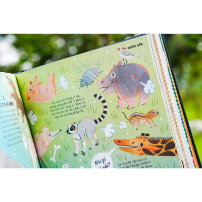 Sách - 366 câu hỏi lý thú của trẻ - Everything Under The Sun - Đinh Tị Books